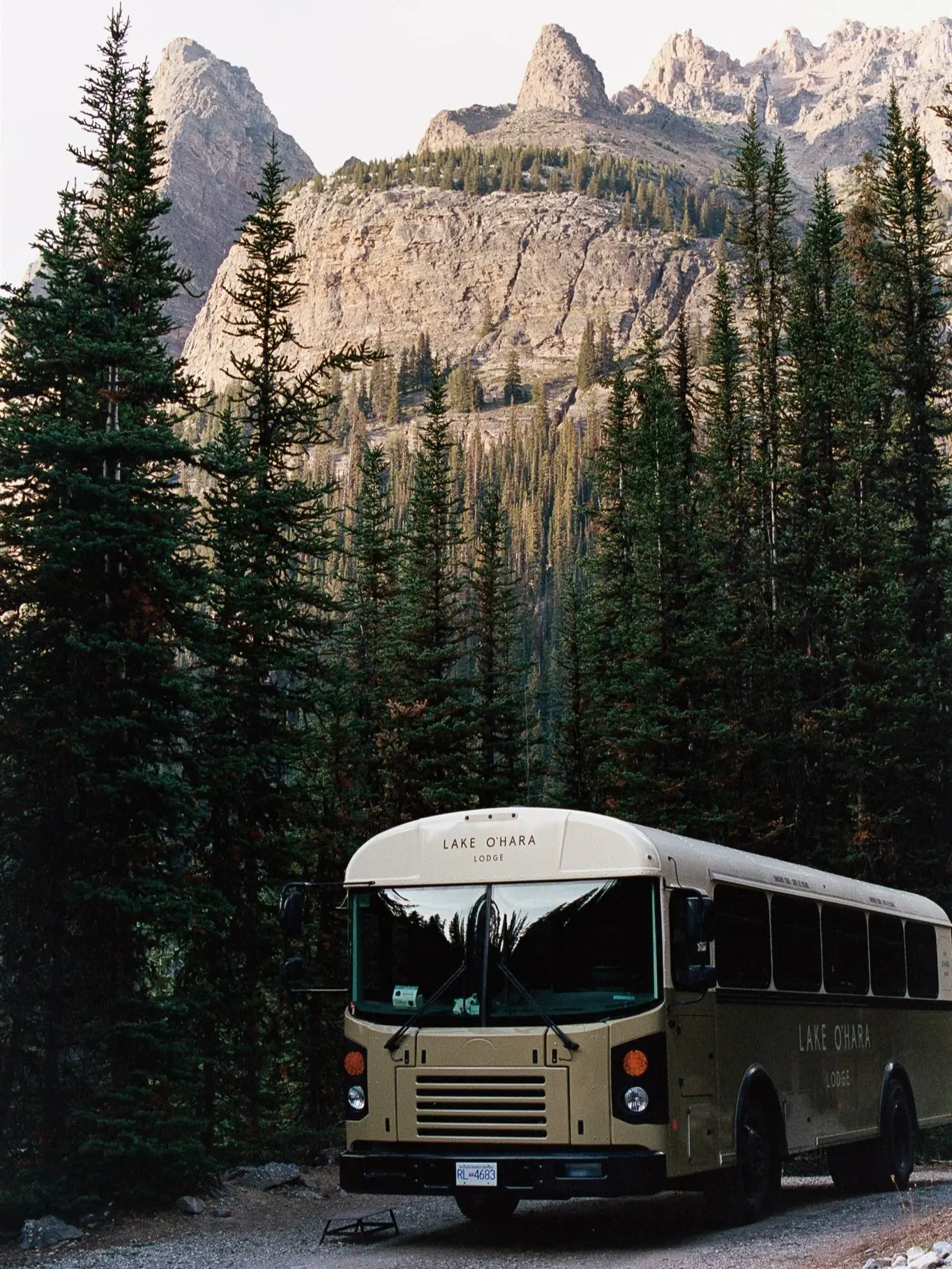 the bus runing in the forest road